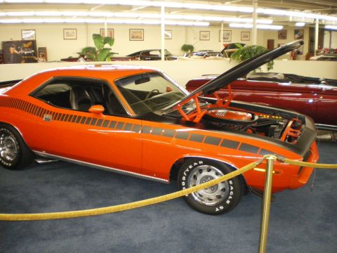 1998 Ford Crown Victoria - orange muscle car with black hockey-stick side stripes and raised hood, roped off on blue carpet in a museum.