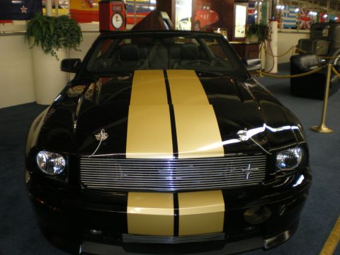 1998 Ford Crown Victoria - Front view of a black Mustang convertible with twin gold racing stripes and chrome billet grille in a showroom.