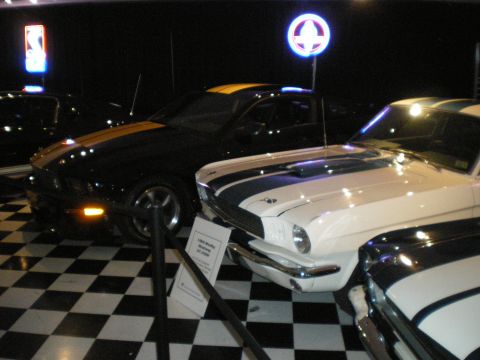 1998 Ford Crown Victoria - white Shelby GT350 fastback with blue stripes displayed among other Mustangs on a checkered showroom floor.