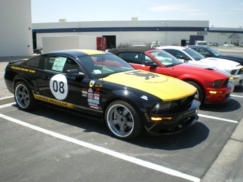 1998 Ford Crown Victoria - black-and-yellow Terlingua Racing Team Mustang number 08 parked outdoors alongside a red and white Mustang.