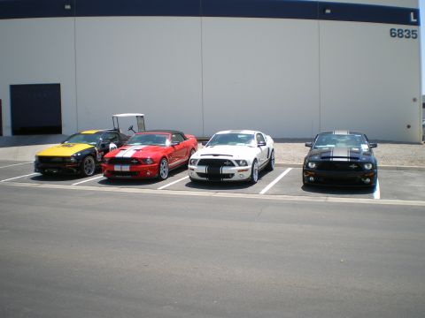 1998 Ford Crown Victoria - Four Shelby GT500-style Mustangs in yellow, red, white and black lined up against a gray warehouse wall.