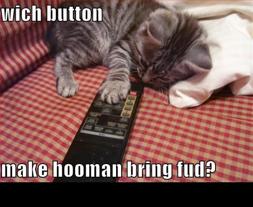 Kitten with paw on remote control, text says 'wich button'