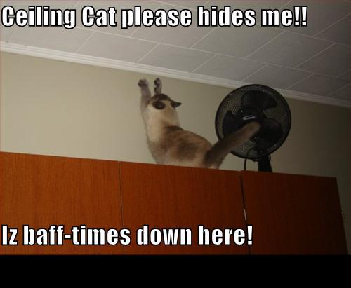 Cat on top of a cabinet with a fan, text says 'Ceiling Cat please hides me!!' and 'Iz baff-times down here!'