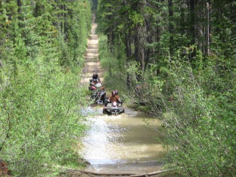 2004 Honda TRX 350 FE