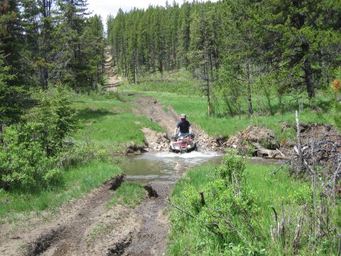 2004 Honda TRX 350 FE