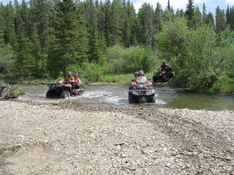2004 Honda TRX 350 FE