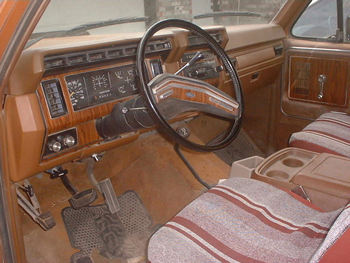 1981 Ford Bronco photo