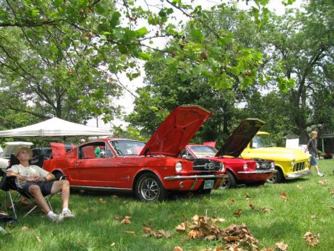 2003 Mercury Marauder - Three classic vehicles are displayed outdoors with their hoods open, parked on a grassy area under trees.