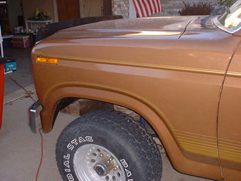1981 Ford Bronco photo
