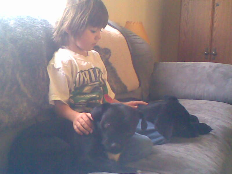 Child petting a black dog on a gray couch with pillows and wooden cabinets in the background
