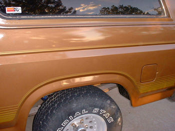 1981 Ford Bronco photo