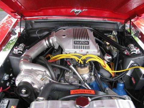 2003 Mercury Marauder - Engine bay details a Paxton supercharger and bright yellow spark plug wires.