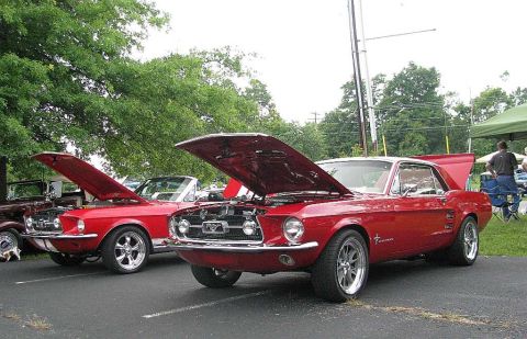 2003 Mercury Marauder - Two classic red Ford Mustangs are displayed with their hoods open at an outdoor event.