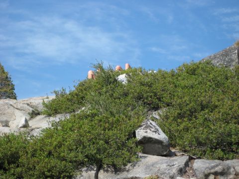 1999 Jeep Grand Cherokee - Several people are visible sitting on a rocky outcrop covered in green bushes under a bright blue sky.