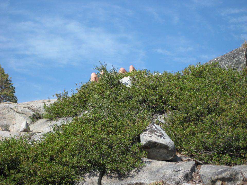 People sitting on a rocky hill with bushes and a blue sky