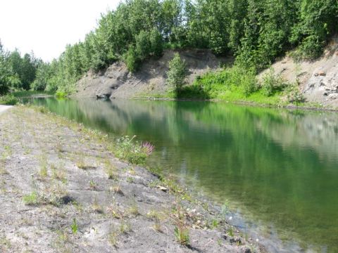 1978 Ford Bronco - A tranquil waterway flows alongside a tree-lined embankment under a bright sky.