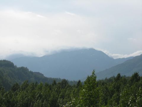 1978 Ford Bronco - A hazy mountain range looms over a thick forest under a cloudy sky.