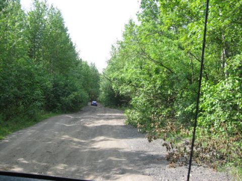 1978 Ford Bronco - A blue SUV travels down a remote dirt road surrounded by dense green trees.