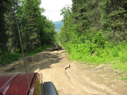 1978 Ford Bronco - Two SUVs navigate a challenging dirt road through a dense forest.