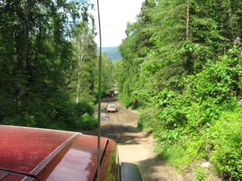 1978 Ford Bronco - A convoy of vehicles navigates a muddy track through a dense forest.