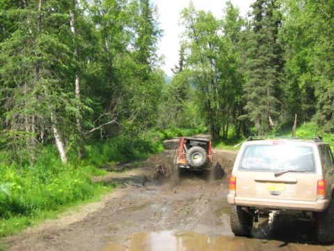 1978 Ford Bronco - Two SUVs navigate a challenging muddy path surrounded by lush green trees.