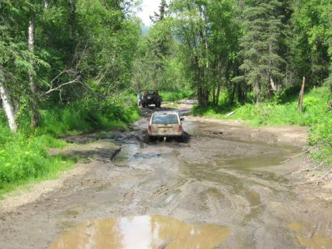 1978 Ford Bronco - Two off-road vehicles navigate a challenging muddy track surrounded by lush green forest.