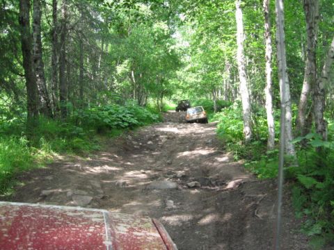 1978 Ford Bronco - Two SUVs navigate a challenging, rocky dirt road winding through a dense, sun-dappled forest.