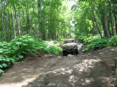 1978 Ford Bronco - A tan SUV tackles a challenging, rocky, and muddy path through a dense forest.