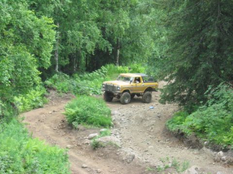 1978 Ford Bronco - A yellow 1978 Ford Bronco navigates a winding dirt path through a dense forest.