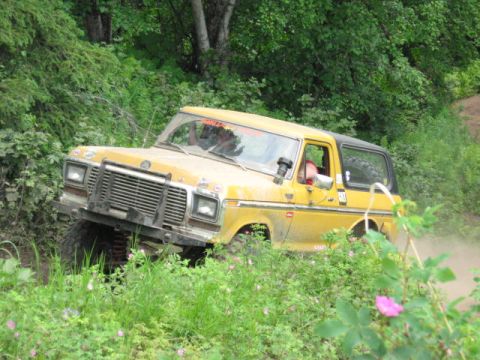 1978 Ford Bronco - A yellow Ford Bronco navigates a dusty, off-road trail surrounded by lush greenery.