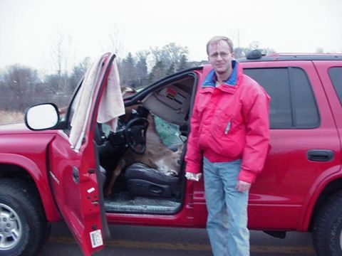 1991 Ford Bronco - Man stands next to a red SUV that has a deer inside, with the driver's door open.