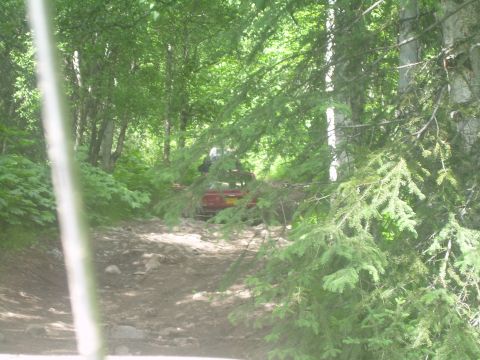 1978 Ford Bronco - A red off-road vehicle navigates a rough, wooded path.