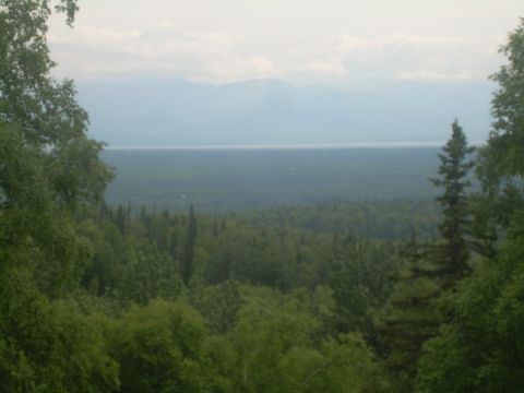 1978 Ford Bronco - Expansive landscape a vast forest stretching towards distant mountains and a calm body of water.