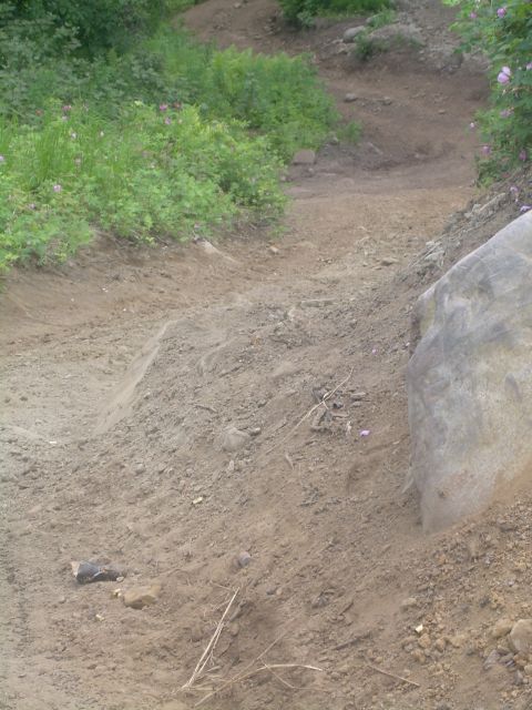 1978 Ford Bronco - A dirt path winds through vegetation, with a large rock on the right side of the frame.