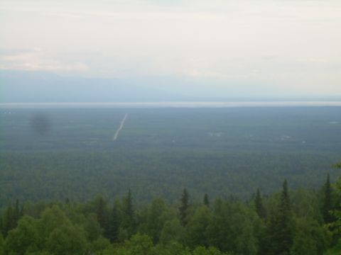 1978 Ford Bronco - Expansive forest landscape with a distant road stretching towards the horizon.