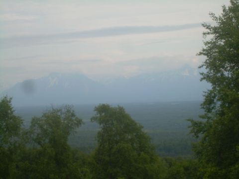 1978 Ford Bronco - A wide view of a forest and distant mountains under a cloudy sky.