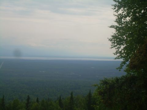 1978 Ford Bronco - A wide landscape view shows a dense forest under a cloudy sky, with a faint line of land visible in the distance.