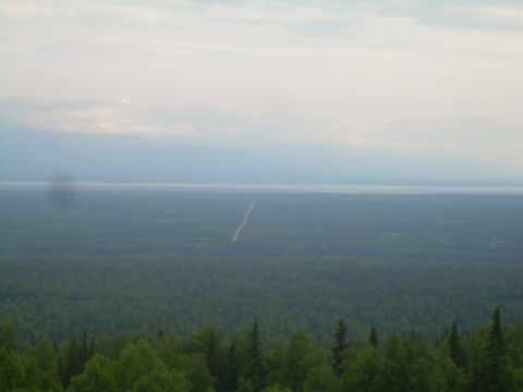 1978 Ford Bronco - A vast expanse of dense forest stretches to the horizon, with a faint road visible in the distance under a cloudy sky.