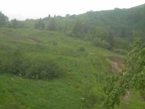 1978 Ford Bronco - A view of a lush green hillside dotted with trees and a winding dirt path.
