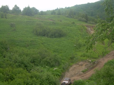 1978 Ford Bronco - A Jeep navigates a winding dirt path through a lush, green, and hilly terrain.