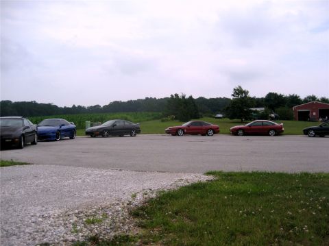 1993 Ford Probe - A lineup of Ford Probes is seen parked on the side of a road with a field and trees in the background.