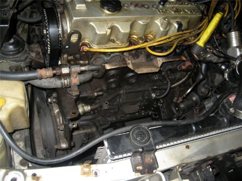 1993 Ford Probe - This is a close-up, high-angle shot of a dirty engine bay, likely from a 1993 Ford Probe. The image shows the timing belt, engine block, ho…
