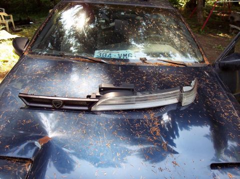 1995 Ford Probe