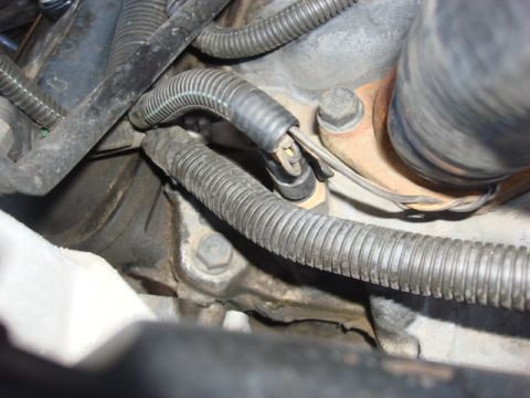 1983 Ford Bronco - here is the old temp sensor. it is next to the thermastate housing. this is not for the temp gauge it is for the computer.