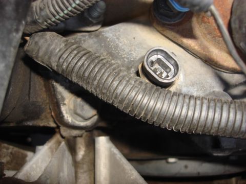 1983 Ford Bronco - you unplug the old sensor. and then set the connector aside.