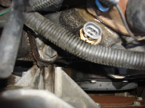 1983 Ford Bronco - alittle sealent and the new sensor is installed.