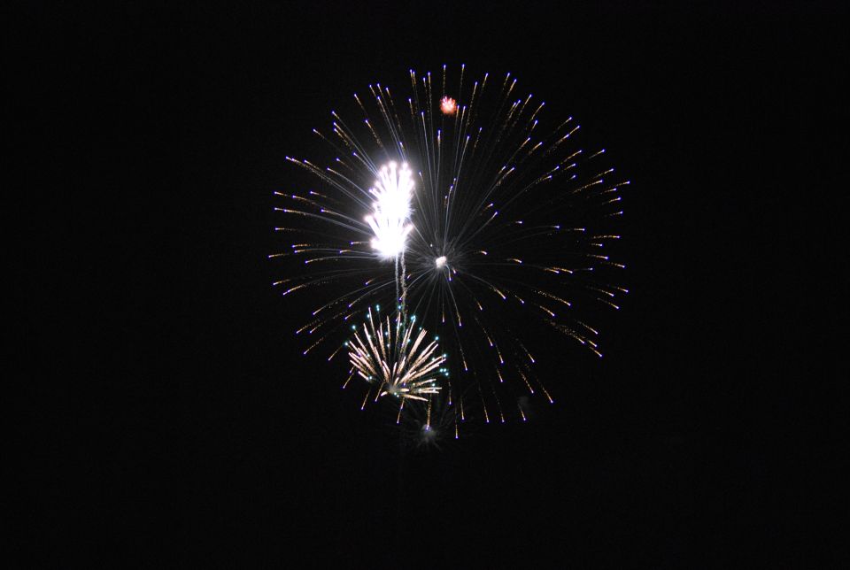 Two fireworks exploding in the night sky.