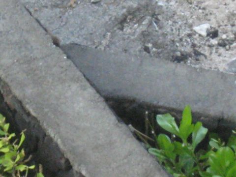 1991 Ford Bronco - A close-up view of a concrete curb with green plants growing nearby.