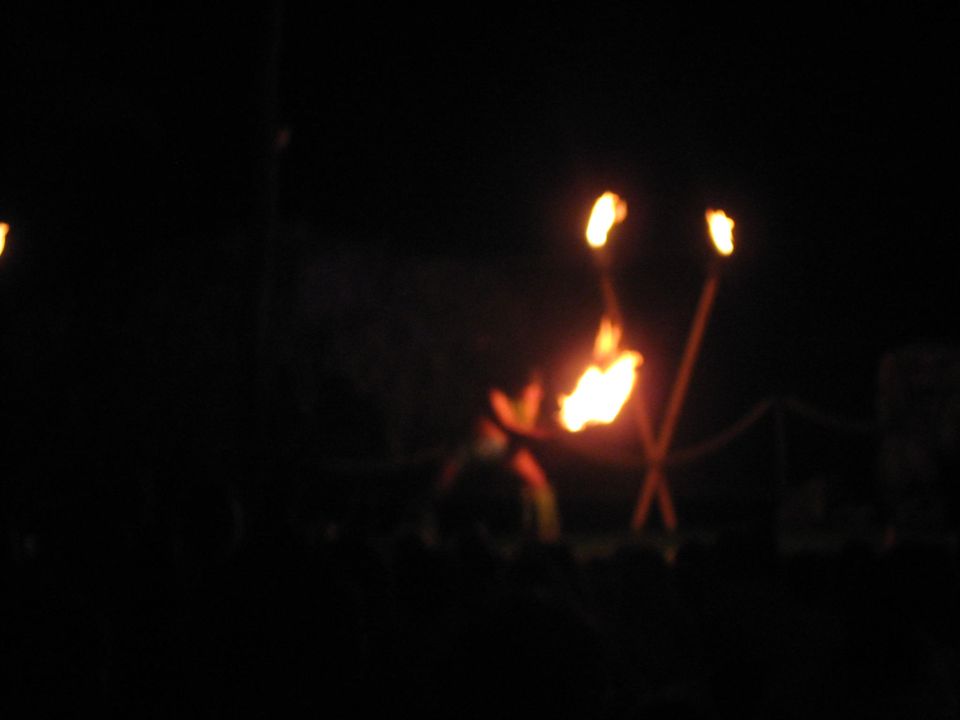 Several lit tiki torches at night.
