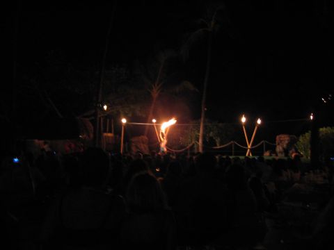 1991 Ford Bronco - A fire dancer performs at night, illuminated by torches, with an audience watching.